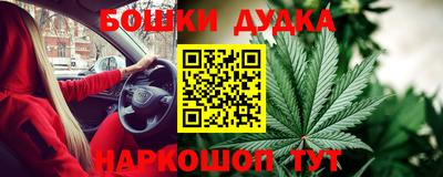 тгк Будённовск