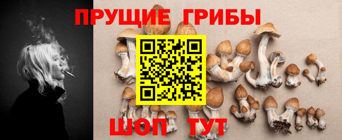Саранск  как найти наркотики  Вход с VPN  Псилоцибиновые грибы ЛСД  Псилоцибиновые грибы Magic Shrooms 